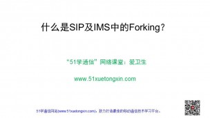 什么是SIP及IMS中的Forking？