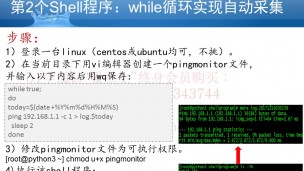 Linux Shell编程第2集：While循环自动采集命令输出并保存