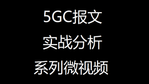 5GC报文实战分析系列之AMF查询NRF选择AUSF