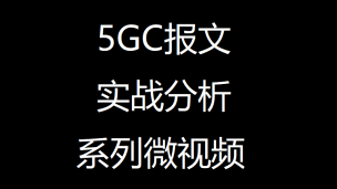 5GC报文实战分析系列之UE Context长啥样？